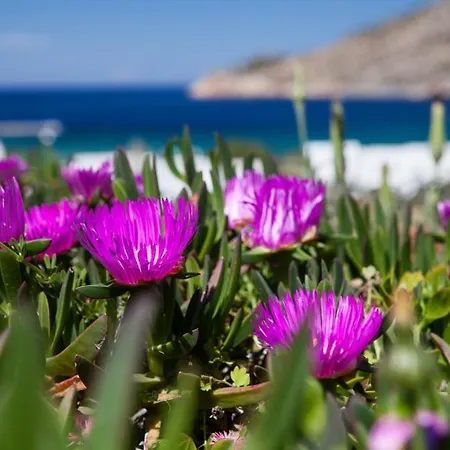 Gasthof Xerolithia 4*