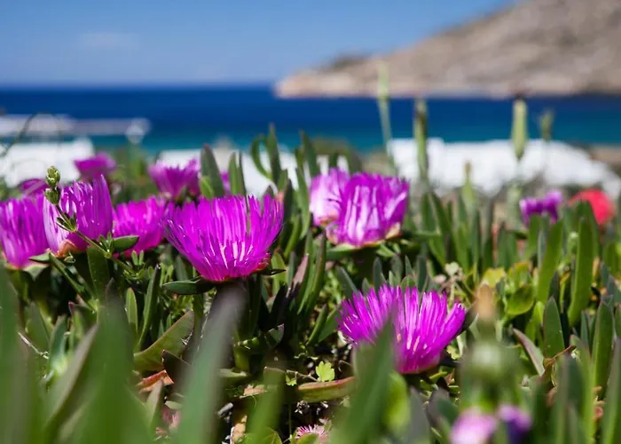 Pensionat Xerolithia 4*